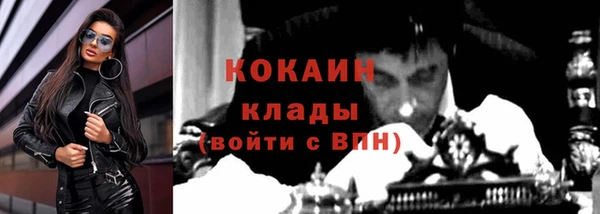 прущие грибы Вязники