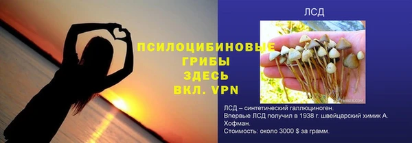 прущие грибы Вязники